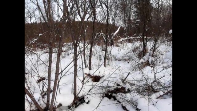 Красноуфимск - Никитино. Поход на лыжах 2019 смотреть онлайн