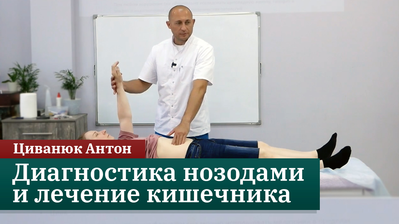 Нозоды в прикладной кинезиологии. Как диагностировать и лечить кишечные дисфункции? Циванюк Антон смотреть онлайн