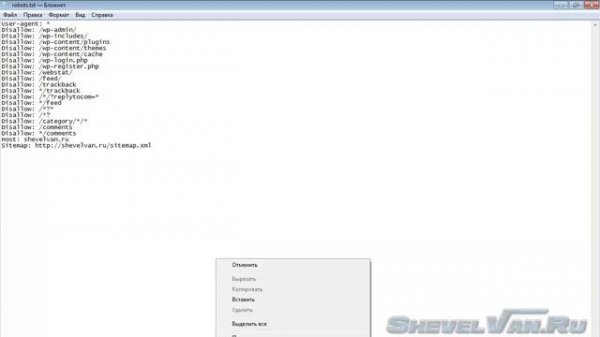 Robots txt для WordPress