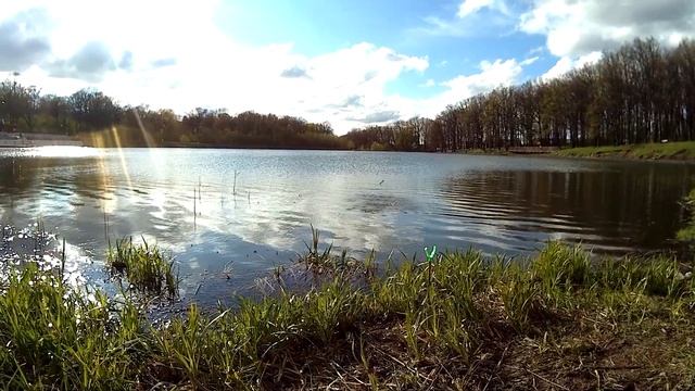 РЫБАЛКА НА ПРУДУ ПГТ.ПЕРВОМАЙСКИЙ! РЫБАЧКИ ОТПУСКАЙТЕ МЕЛОЧЬ! смотреть онлайн