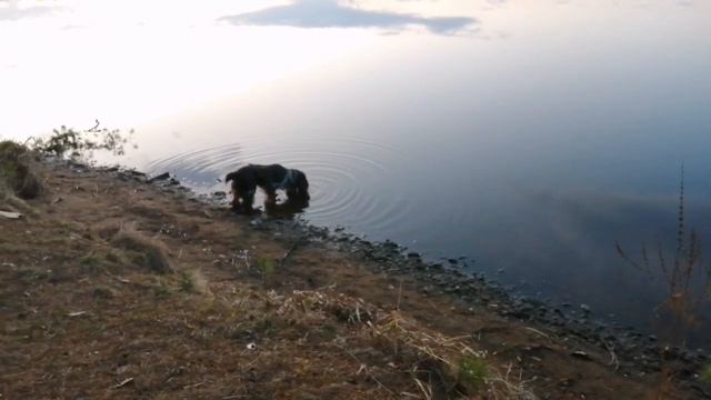 Устала от учёбы. Река Реж. Красота нашей природы. смотреть онлайн