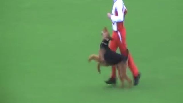 www.psisport.com-Eyk von Erikson-B смотреть онлайн