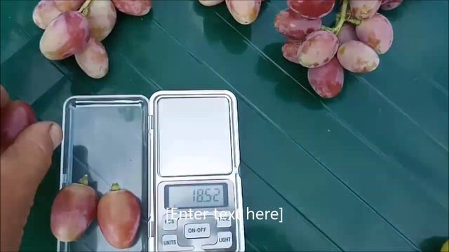 Аксия 2020 август смотреть онлайн