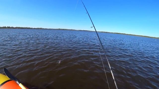 новое озеро,наконец то я,сюда попал.рыбалка на спиннинг. смотреть онлайн