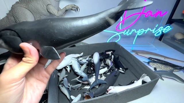 Whales & Dolphins Sea Animals Collection - Humpback Whale, Gray Whale, Bottlenose Dolphin, Narwhal