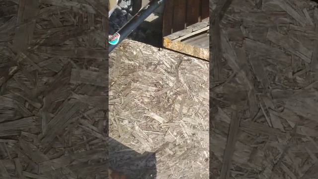 мне купили новый руль ??#KICKMEAT#самокат смотреть онлайн