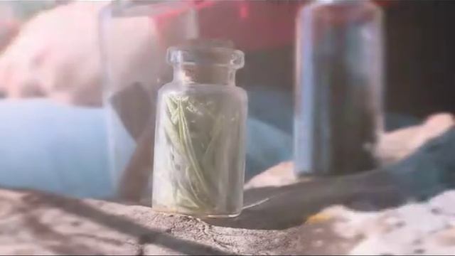 Осенние напитки: облепиховый чай смотреть онлайн