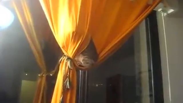кот катается на шторах смотреть онлайн
