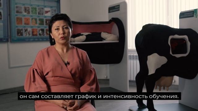 QAZYNA STUDY ОНЛАЙН-МЕКТЕП смотреть онлайн