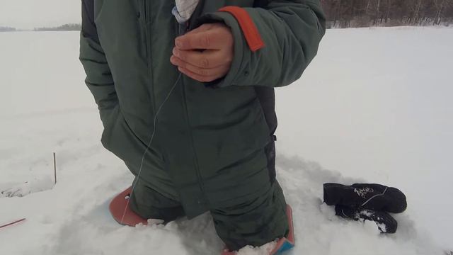 Ловля на жерлицы-безфлажковки от Николая Пагольского "fishscout" смотреть онлайн