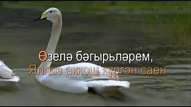Аерылмагыз.Татарча Караоке смотреть онлайн