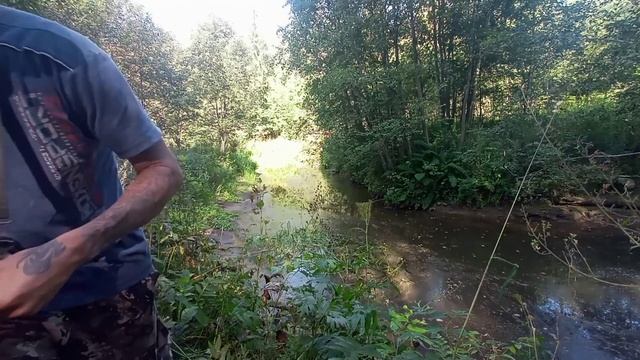 Вот это ДА! Ручей практически пересох, но РЫБЫ ТУТ ПОЛНО! Хариус ТАЁЖНОЙ реки. смотреть онлайн