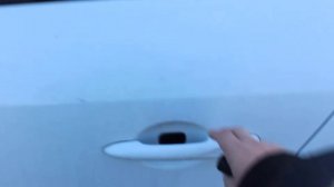 Открытие водительской двери и багажника Fluence