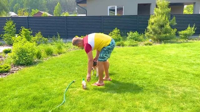 ШЕРЛОК ПРОТИВ БАТИ. КАК НАУЧИТЬ СОБАКУ ПЛАВАТЬ. БРОС ШОУ ПЕТ смотреть онлайн