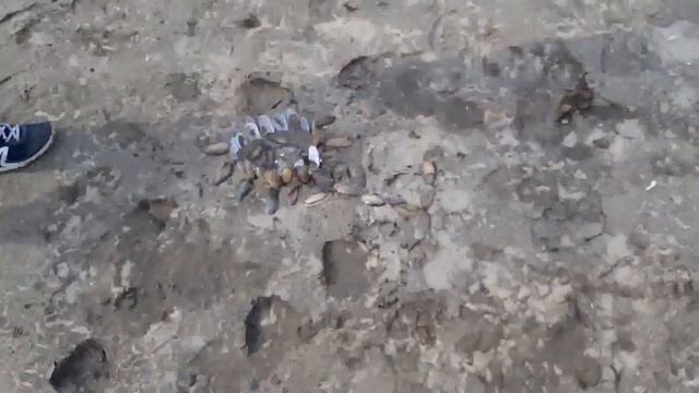 Находки на дне Москвы-реки! смотреть онлайн