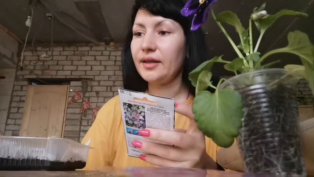 Доброе утро ♥️♥️♥️25.04.20г смотреть онлайн