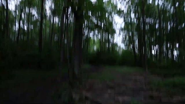 Дудергофские высоты. Гора Ореховая. Самое высокое место в Санкт-Петербурге смотреть онлайн