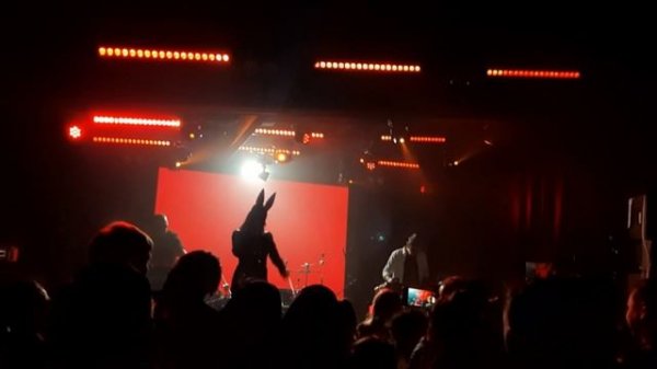 C_File - Бондаж и Дисциплина - клуб Время N (Питер 29.10.22)