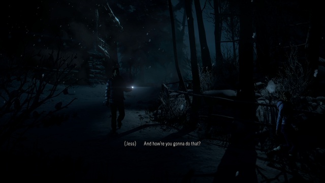 Until Dawn - In the Dark смотреть онлайн