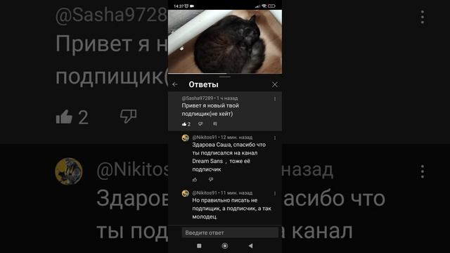Ураааа новый подписчик канала Dream Sans смотреть онлайн