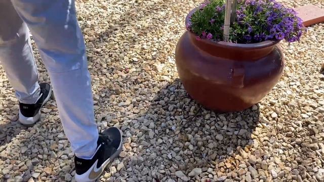 香香的开花机器 奥利维亚Olivia Rose Austin（园艺篇248） смотреть онлайн