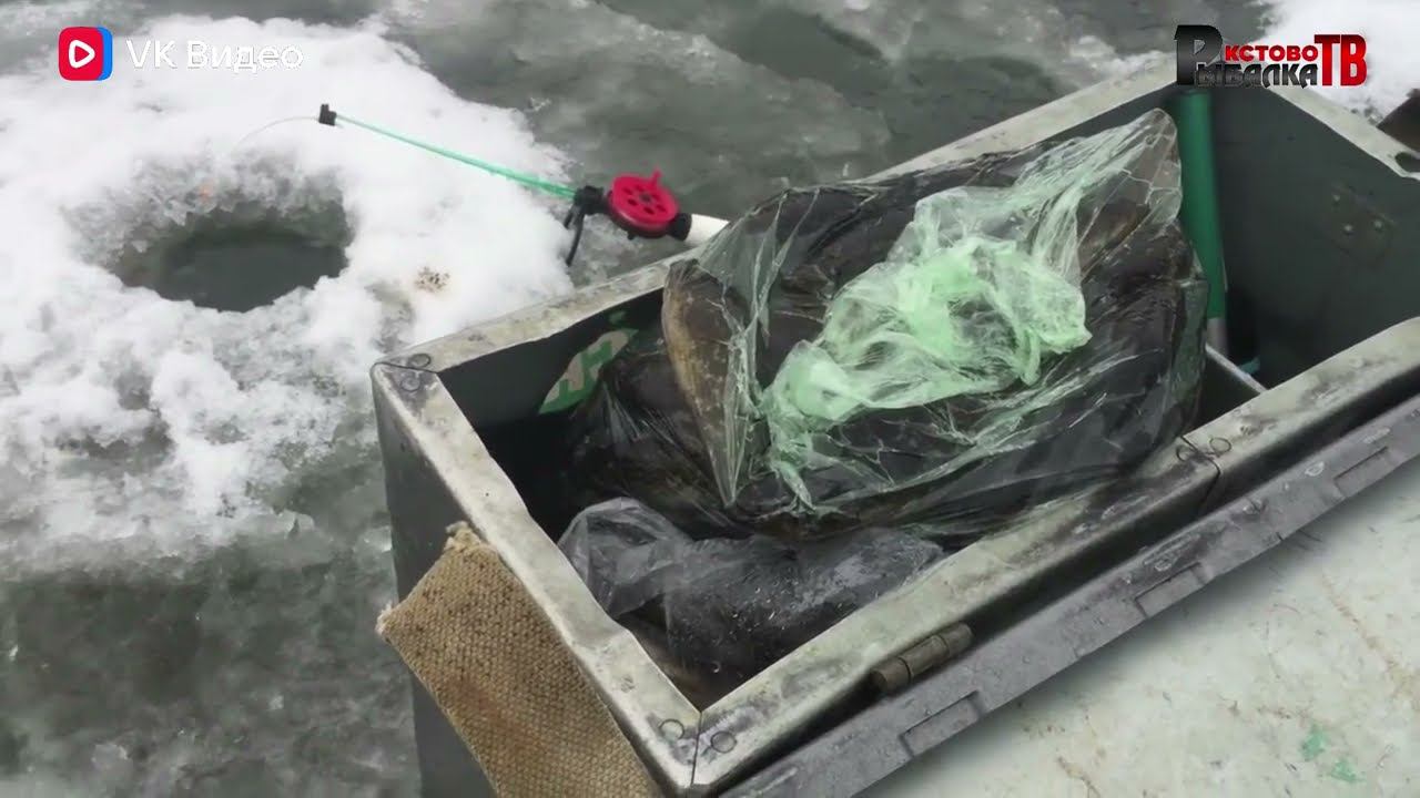 Открыли первый лёд,первая рыбка.Ловля по первому льду на озере. смотреть онлайн