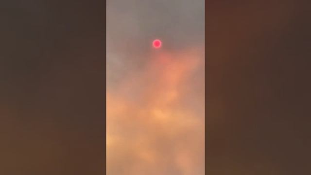 Отель Alba resort смотреть онлайн