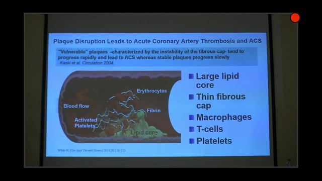 Кардиология 2018 Рекомендации в практику смотреть онлайн
