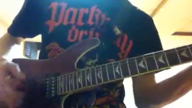 Rose of Sharyn guitar cover смотреть онлайн