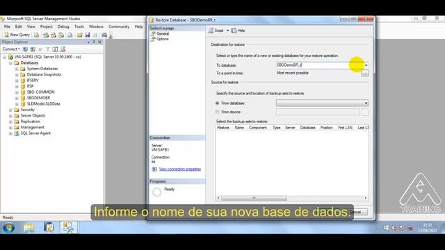 SAP B1 Backup Restore SQL Server 2008 R2 смотреть онлайн