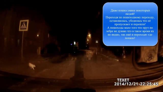 Кошка переходит дорогу смотреть онлайн