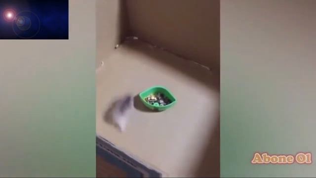 Yok böyle drift. *sonuna kadar kesin izle* смотреть онлайн