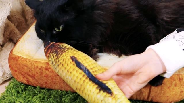 ПОДАРКИ НА НОВЫЙ ГОД! КОТУ БЕГЕМОТУ! смотреть онлайн