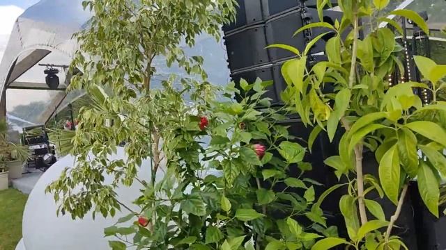 Царицыно Сады и мифы смотреть онлайн