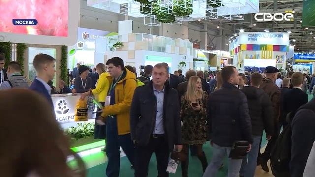 В Москве продолжается агропромышленная выставка «Золотая осень - 2019». смотреть онлайн