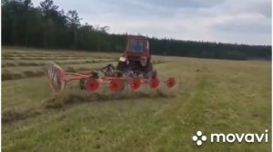 Прицепные грабли ворошилки ГВП - 10