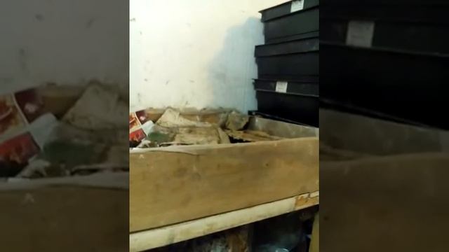 Разведением червя в подвале смотреть онлайн