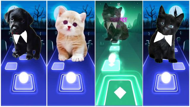 CUTE DOG MAROON 5 SUGAR 🌟 CUTE CAT 🌟 CUTE DOG LADY GAGA BLOODY MARY 🌟 CUTE CAT IMAGINE DRAGONS BONE смотреть онлайн