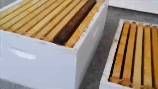 HIVE SIZES explained - brood and hive supers - beekeeping 101 смотреть онлайн