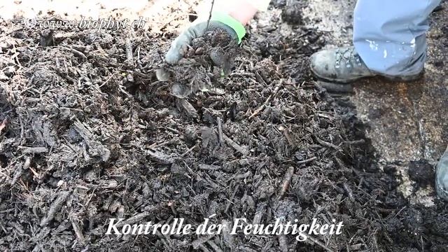 Hauskompostierung 12 04 2021 смотреть онлайн