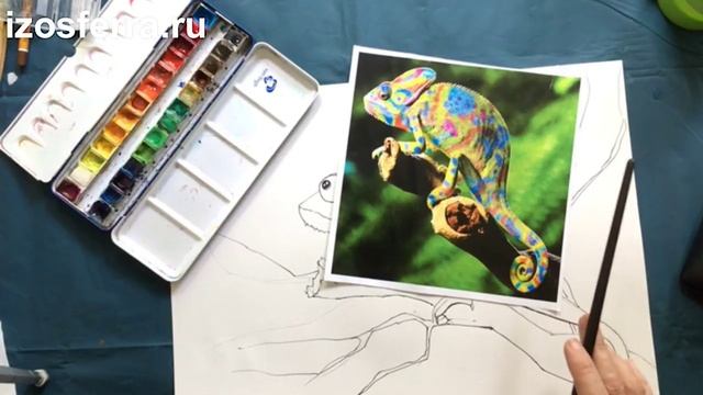 7+ Хамелеон акварелью. смотреть онлайн
