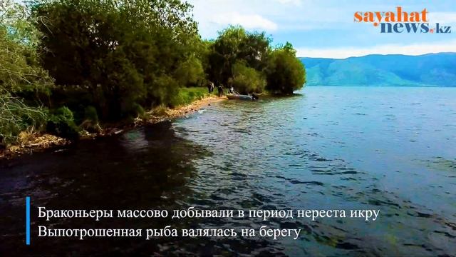Маркаколь: озеро ста рек смотреть онлайн