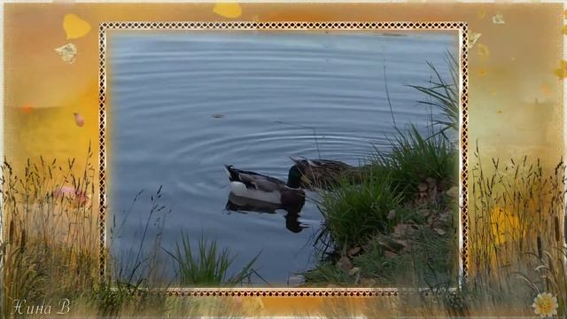 Золотая осень смотреть онлайн