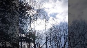 Весна в городе,погода в Гродно./ Беларусь / Гродно / Румлевский парк /