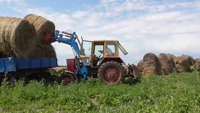 Складирование сена , вывоз сено в рулонах с поля на тракторе смотреть онлайн