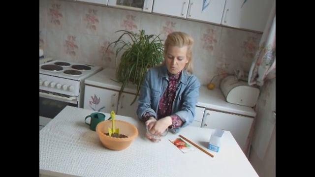 Сажаем томаты на лузгу смотреть онлайн