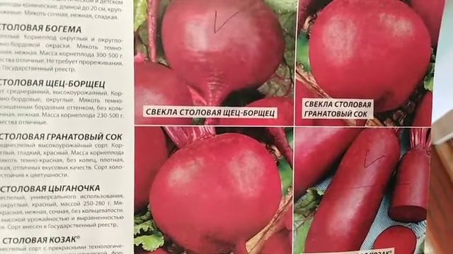Нас уже 100!! Спасибо. Миниотчёт . Что Надо Успеть... смотреть онлайн
