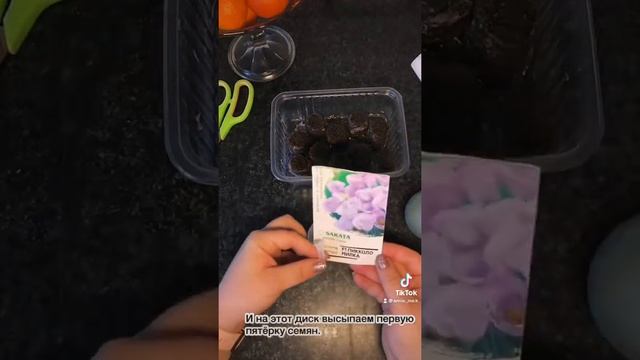 Эустома! Как посеять Эустому. Сеем Эустому. смотреть онлайн