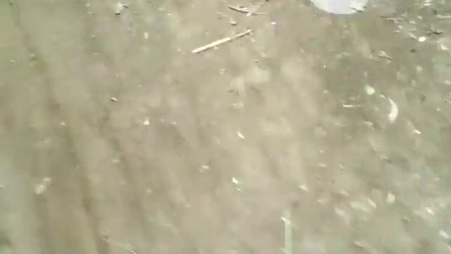 собираемся ити на пенапласт смотреть онлайн