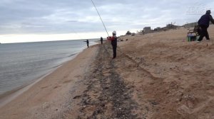 Ловля пиленгаса на Арабатской Стрелке.  Фестиваль магазина "Твоя Рыбалка" Пиленгас-2019 II Этап.